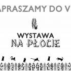 Fotka nr 4 z 5