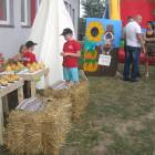zdjęcie nr 287