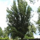 zdjęcie nr 58