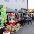 zdjęcie nr 65