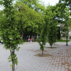 zdjęcie nr 47