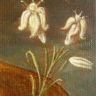 zdjęcie nr 57