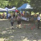 zdjęcie nr 45