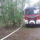 Fotka nr 5 z 7
