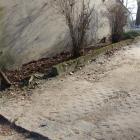 zdjęcie nr 8