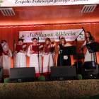 zdjęcie nr 15