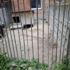 zdjęcie nr 8
