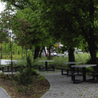 zdjęcie nr 77