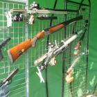 Fotka nr 4 z 16