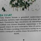 zdjęcie nr 10
