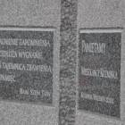 zdjęcie nr 40