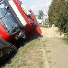 Fotka nr 4 z 8