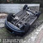Fotka nr 4 z 5