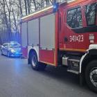 Fotka nr 5 z 10