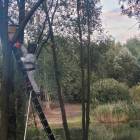 Fotka nr 4 z 8