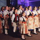 zdjęcie nr 240