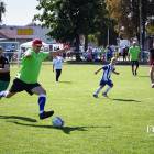 zdjęcie nr 12