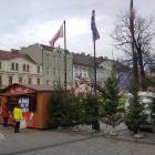 zdjęcie nr 7