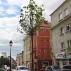 zdjęcie nr 11
