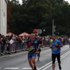zdjęcie nr 237