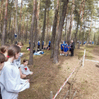 zdjęcie nr 25
