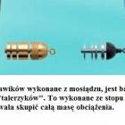 Fotka nr 2 z 7
