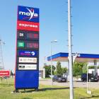zdjęcie nr 8