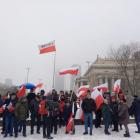 zdjęcie nr 12