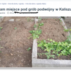 Fotka nr 1 z 2