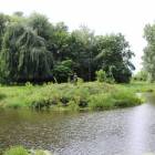 zdjęcie nr 9
