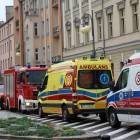 Fotka nr 2 z 3