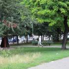 zdjęcie nr 47