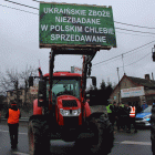 Fotka nr 1 z 113