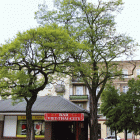 zdjęcie nr 56