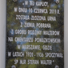 Fotka nr 5 z 43