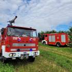 Fotka nr 2 z 5
