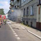 Fotka nr 5 z 6