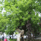zdjęcie nr 54