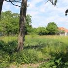 zdjęcie nr 8