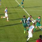 zdjęcie nr 14