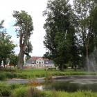 zdjęcie nr 43