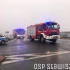 Fotka nr 5 z 6