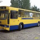 zdjęcie nr 10