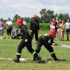 zdjęcie nr 300