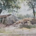 zdjęcie nr 57