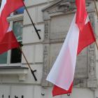 zdjęcie nr 14