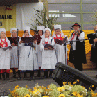 zdjęcie nr 93
