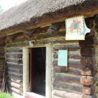 zdjęcie nr 130