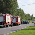 Fotka nr 5 z 6