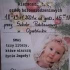 zdjęcie nr 8